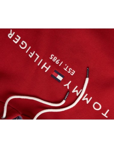 TOMMY HILFIGER LOGO HOODY
